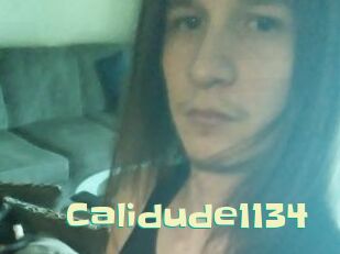 Calidude1134