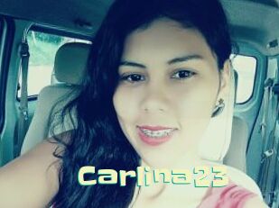 Carlina23
