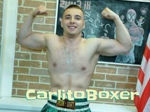 CarlitoBoxer