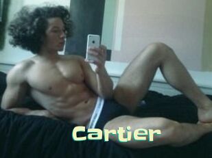 Cartier_ Wanna Meet