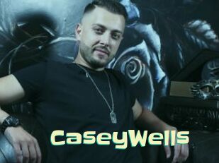 CaseyWells Wanna Meet