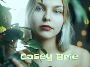 Casey_Brie Wanna Meet