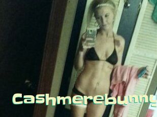 Cashmerebunny