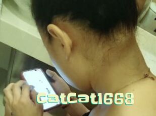 CatCat1668