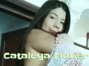 Cataleya_Flowers