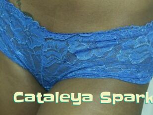 Cataleya_Spark