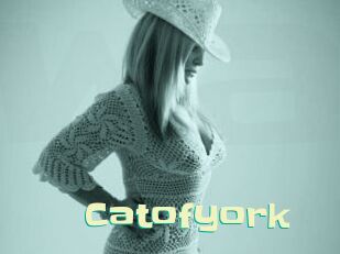 Catofyork