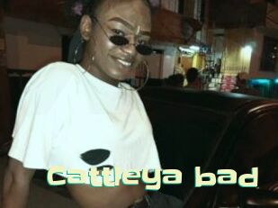 Cattleya_bad
