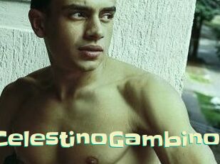 CelestinoGambino