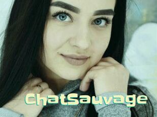 ChatSauvage Wanna Meet