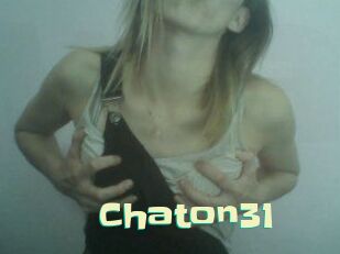 Chaton31