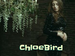 ChloeBird
