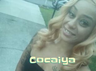 Cocaiya Wanna Meet