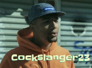 Cockslanger23