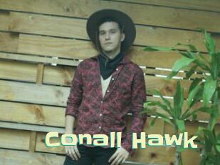Conall_Hawk