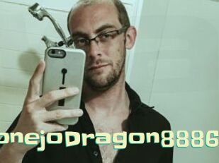 ConejoDragon8886