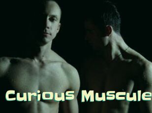Curious_Muscules