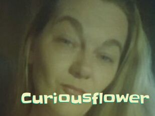 Curiousflower