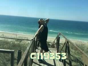 C119353