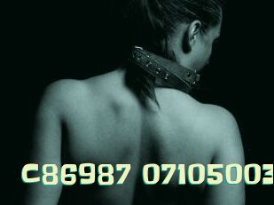 C86987-07105003