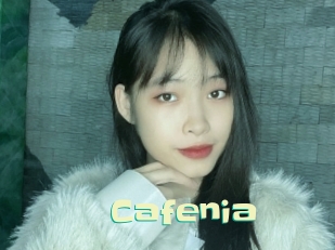 cafenia Wanna Meet