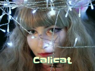 Calicat