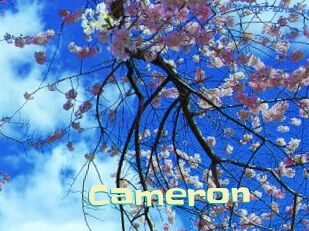 Cameron