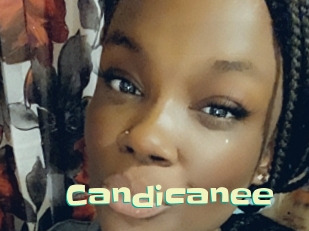 Candicanee