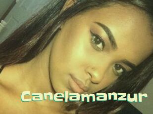 Canelamanzur