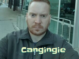 Cangingie