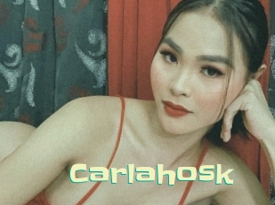 carlahosk Wanna Meet