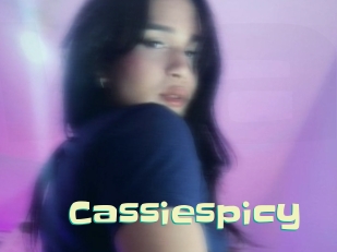 Cassiespicy