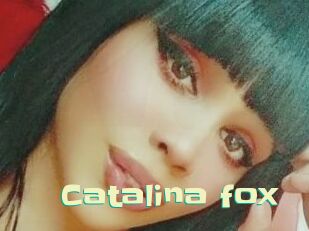 Catalina_fox