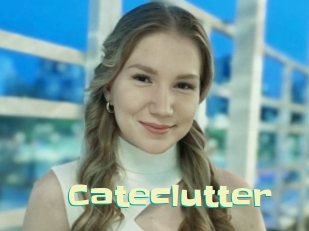 Cateclutter