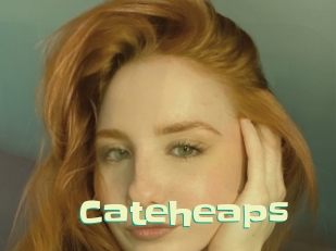 Cateheaps