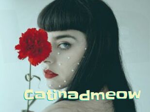 catinadmeow Wanna Meet