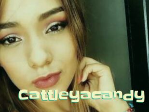 Cattleyacandy