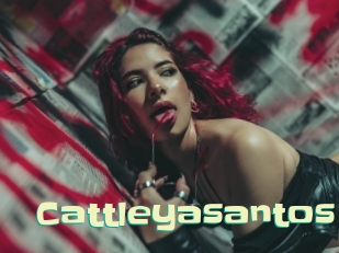 cattleyasantos Wanna Meet