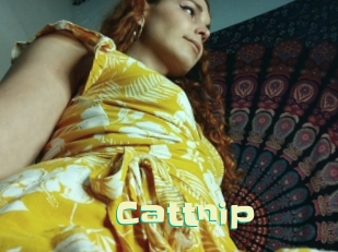 Cattnip