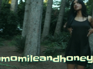 Chamomileandhoney