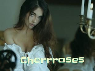 cherrroses Wanna Meet