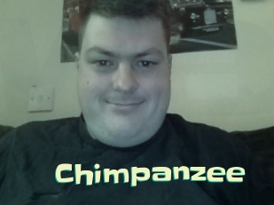 Chimpanzee