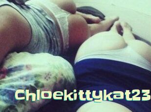 Chloekittykat23