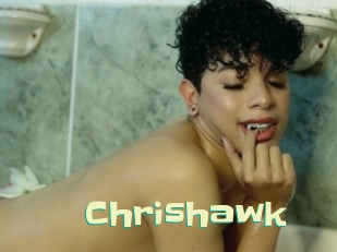 chrishawk Wanna Meet