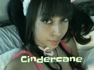 cindercane Wanna Meet