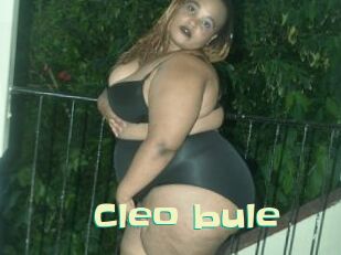 Cleo_bule