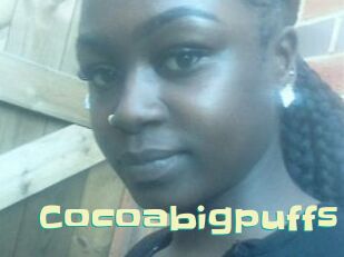 Cocoabigpuffs