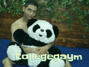 collegegaym Wanna Meet