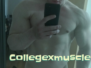Collegexmuscle