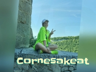 Cornesakeat